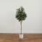 6ft. Artificial Olive Tree with White Decorative Planter